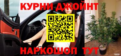 крисы Донской